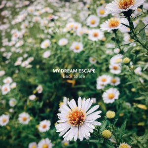 欧美乱乱乱乱视频
