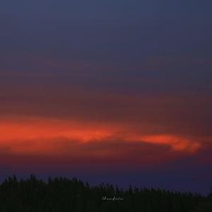 欧美乱乱乱乱视频
